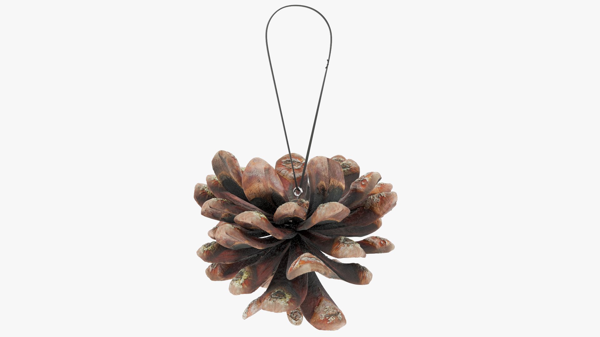 Cone Christmas Tree Toys Collection V6 3D model https://p.turbosquid.com/ts-thumb/XV/anURqk/RT/cctt2_004_006/png/1701402036/1920x1080/fit_q87/833e94dcad82cd33825ece2dcde98cad9233784f/cctt2_004_006.jpg