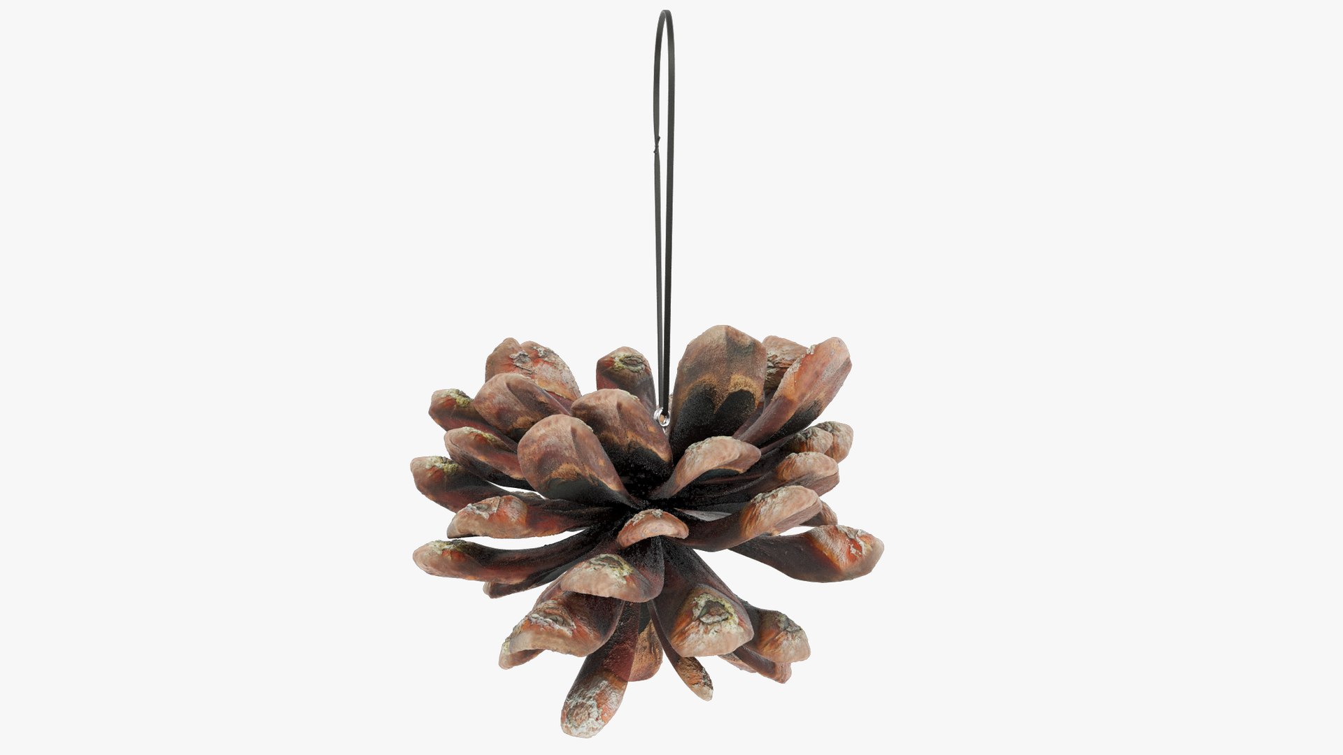 Cone Christmas Tree Toys Collection V6 3D model https://p.turbosquid.com/ts-thumb/XV/anURqk/Wo/cctt2_004_003/png/1701402033/1920x1080/fit_q87/1e4f604186ae7a063ccddfb159ccf0aafa9f4e0b/cctt2_004_003.jpg