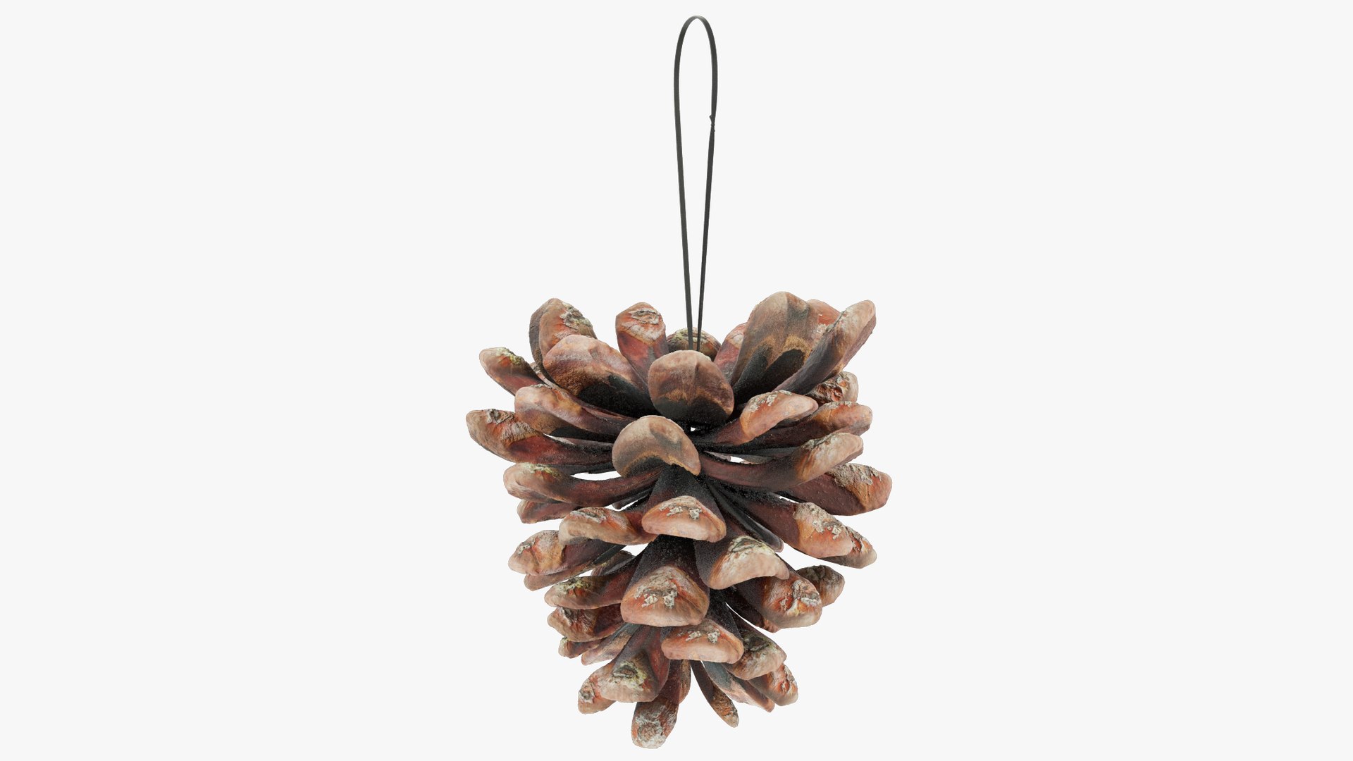Cone Christmas Tree Toys Collection V6 3D model https://p.turbosquid.com/ts-thumb/XV/anURqk/gL/cctt1_004_003/png/1701401927/1920x1080/fit_q87/283ce2f2431fbc19889ae0a7bae0eecef5a7f87a/cctt1_004_003.jpg