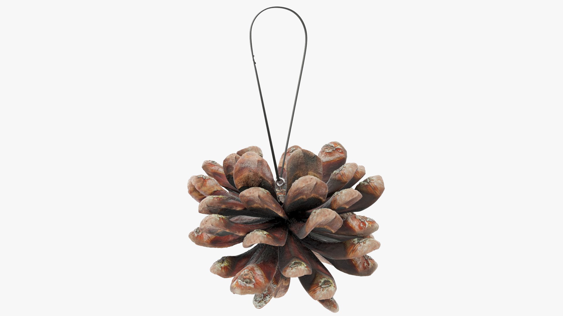 Cone Christmas Tree Toys Collection V6 3D model https://p.turbosquid.com/ts-thumb/XV/anURqk/o6/cctt2_004_011/png/1701402040/1920x1080/fit_q87/bc39a5149f34be8a0e2c6124e2663af09090d23d/cctt2_004_011.jpg