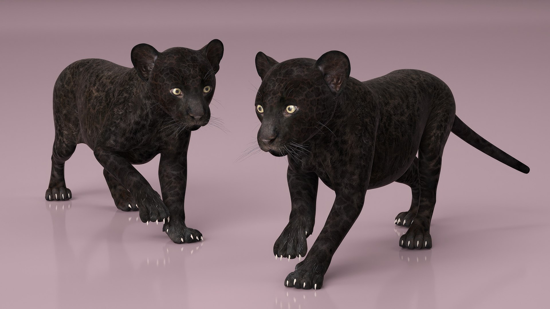 3D Panther Cub Rigged for Maya https://p.turbosquid.com/ts-thumb/XV/mUA0jD/cm/panther_cub_rigged_006/jpg/1742281608/1920x1080/fit_q87/483ffc9df38de74e452ec2413202203eaedfb5d7/panther_cub_rigged_006.jpg