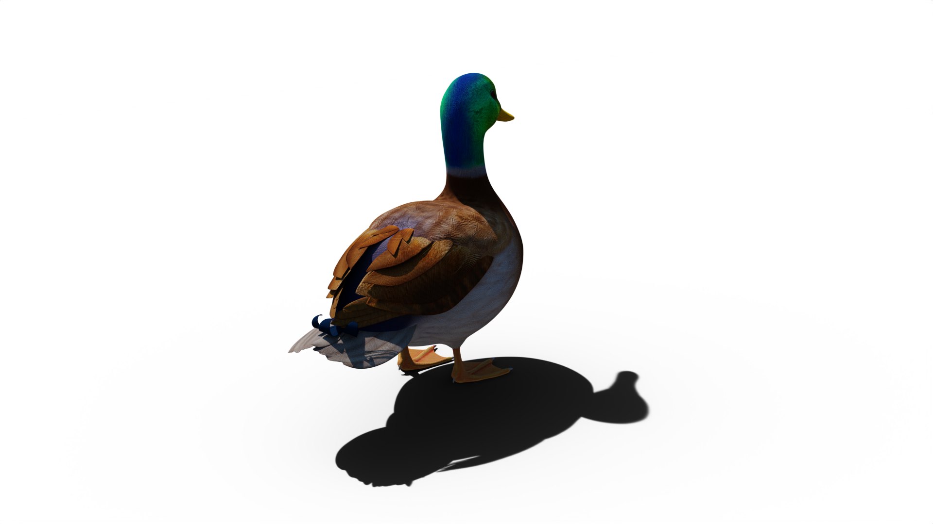 3D Duck https://p.turbosquid.com/ts-thumb/XV/wjhC3o/oP/turnable04/png/1695487123/1920x1080/fit_q87/9e6d5fa90c2b4e7c0d6c45564bf68c05d6e63b29/turnable04.jpg