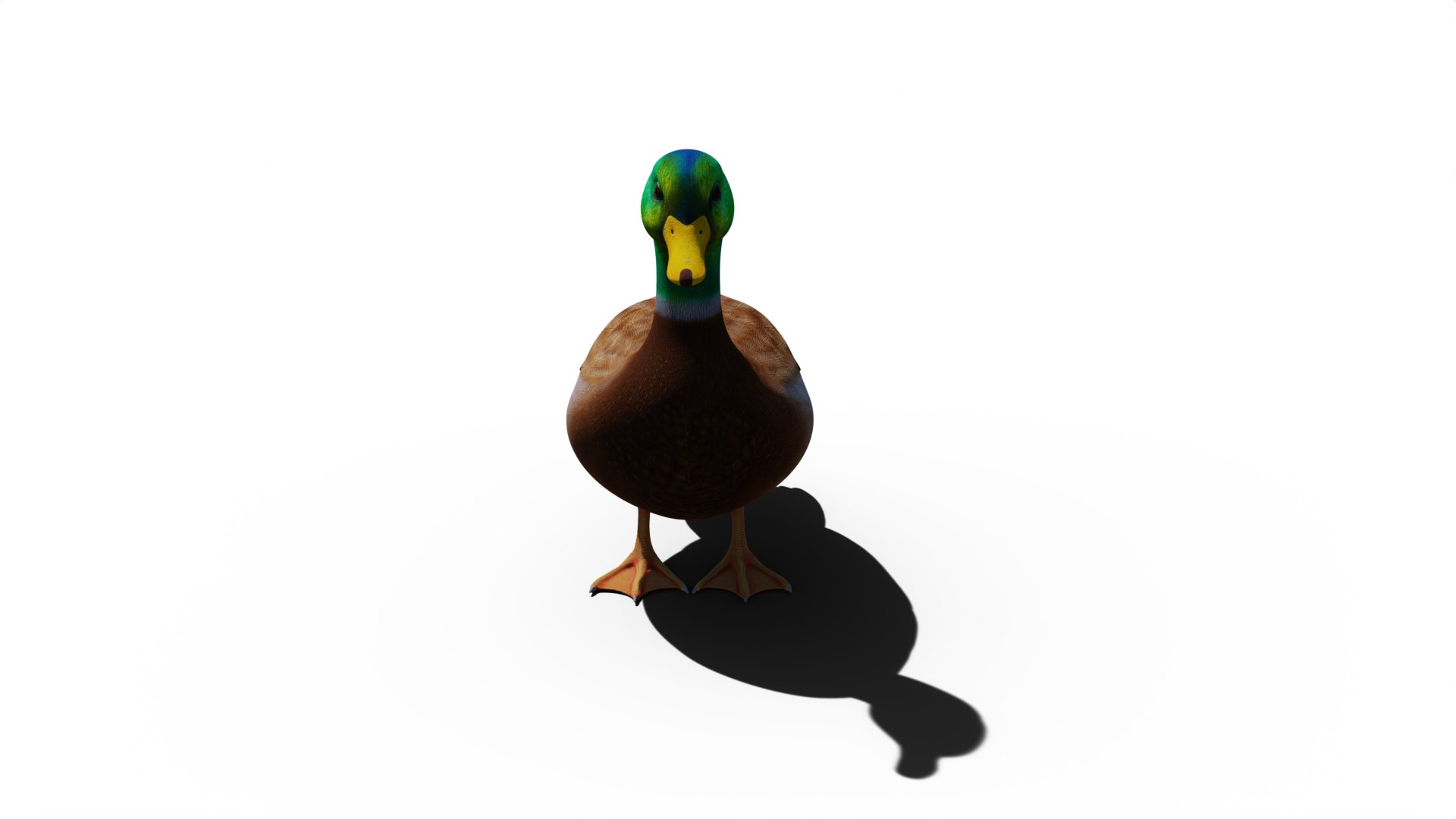 3D Duck https://p.turbosquid.com/ts-thumb/XV/wjhC3o/w9/turnable11/png/1695487122/1920x1080/fit_q87/b8e4ad0bb934d3b0c5e15bbb79cbb36e5256df3f/turnable11.jpg