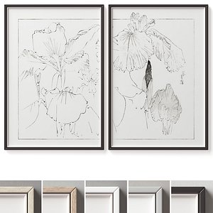 Picture Frames Set-556