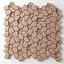 Paving Ngon pebble n2
