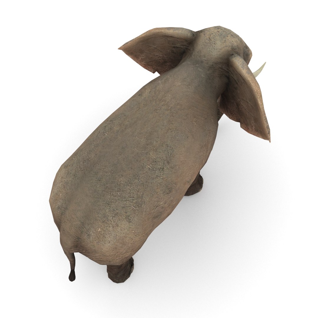 african elephant 3D model https://p.turbosquid.com/ts-thumb/XW/APnjl3/i7F5TEOr/african_elephant_0004/png/1554104994/1920x1080/fit_q87/6873e9f11291bee7f739eb135bcbdecabc802078/african_elephant_0004.jpg