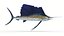 Animated Sailfish PBR