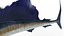 Animated Sailfish PBR