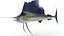 Animated Sailfish PBR