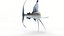 Animated Sailfish PBR