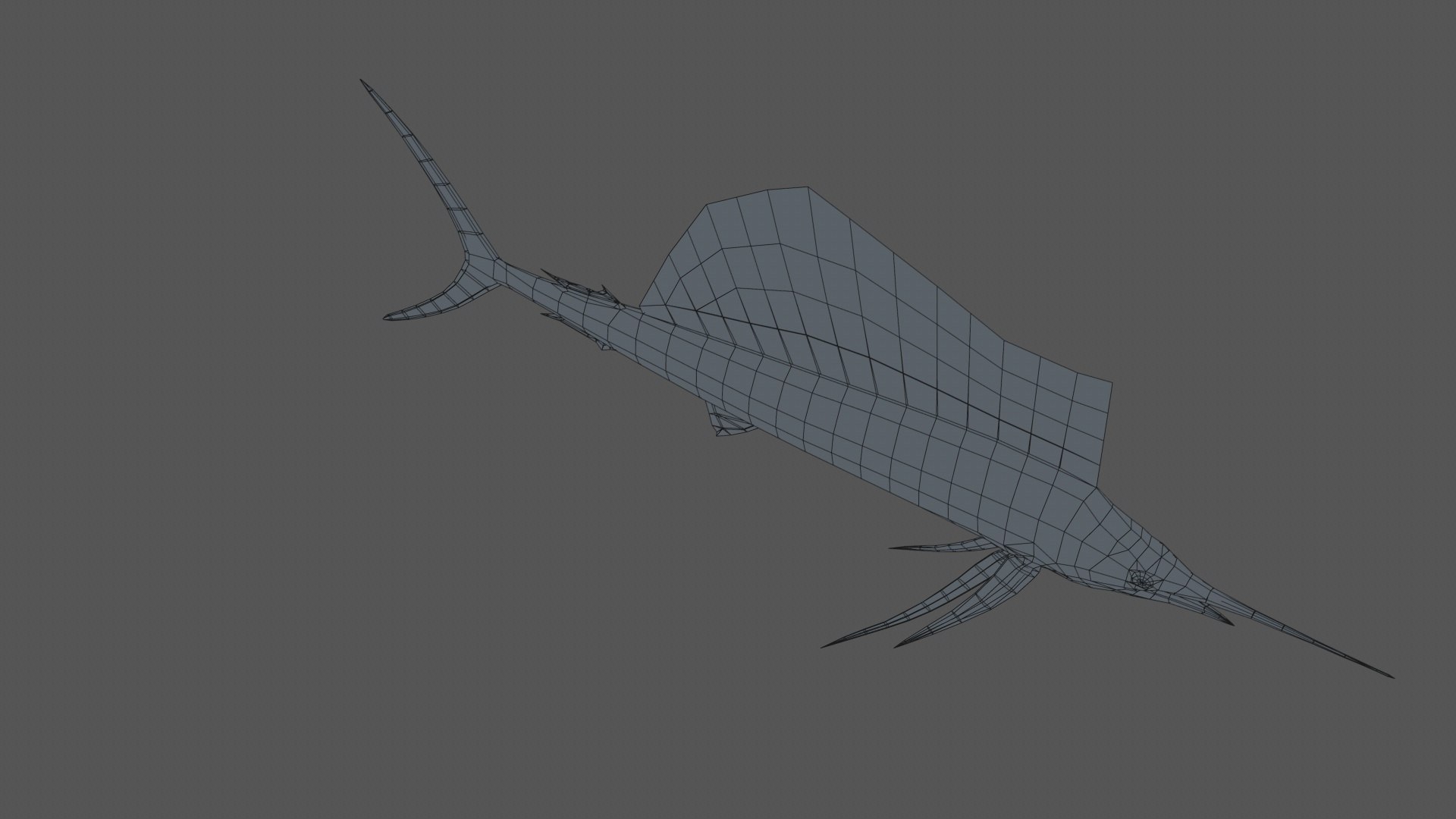 3D Animated Sailfish PBR https://p.turbosquid.com/ts-thumb/XW/CDT1lF/wp/2_0007/jpg/1623147237/1920x1080/fit_q87/01769a0127f5413ca950c64cda6bd60705a4d91a/2_0007.jpg