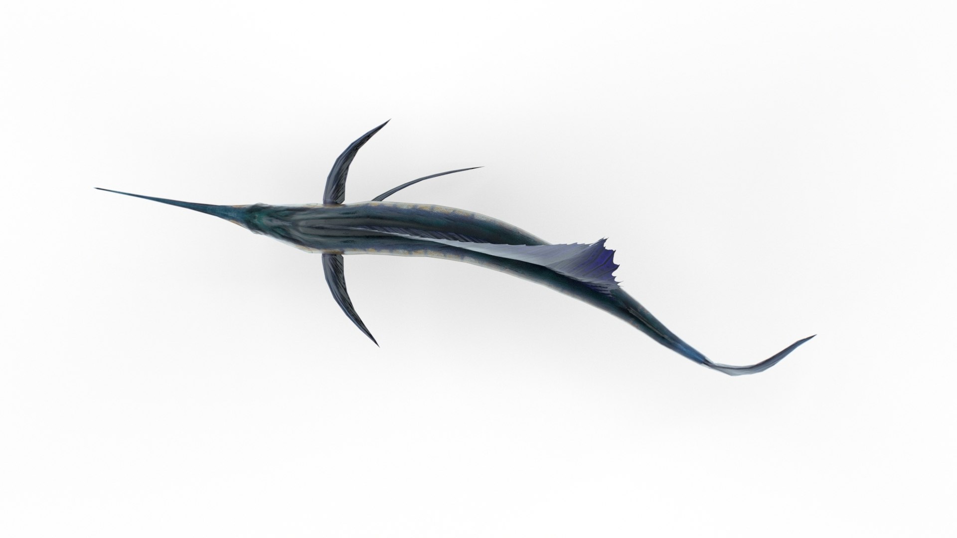 3D Animated Sailfish PBR https://p.turbosquid.com/ts-thumb/XW/CDT1lF/yp/1/jpeg/1623147230/1920x1080/fit_q87/3dce45d3c8e0cb6f4d0e1c0d23a644872f33ddd0/1.jpg