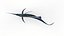Animated Sailfish PBR
