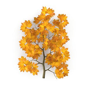 3D Maple Branch Yellow V2 model