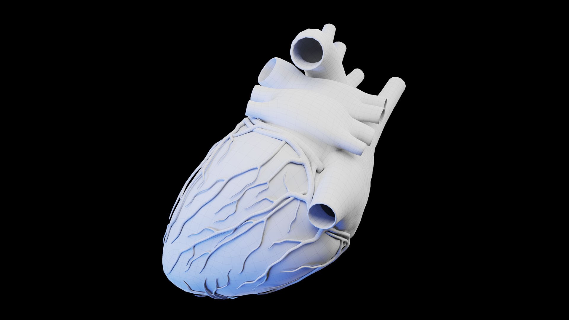 3D Human Heart model https://p.turbosquid.com/ts-thumb/XW/VE4q2g/HX/human_heart_wire_04/jpg/1674460522/1920x1080/fit_q87/bfaca79ecc01b9a154809d09bdd6ba66a1dcf23a/human_heart_wire_04.jpg