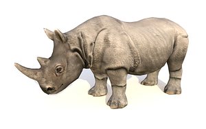rhinoceros animations 3D model