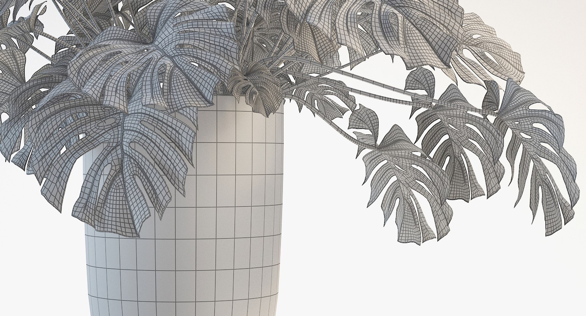 3D model monstera leaves https://p.turbosquid.com/ts-thumb/XW/akA8xb/ivi7uwRL/2aa/jpg/1551091319/1920x1080/fit_q87/0d906162e46c40ffb4fe24122731d555d9732e4e/2aa.jpg