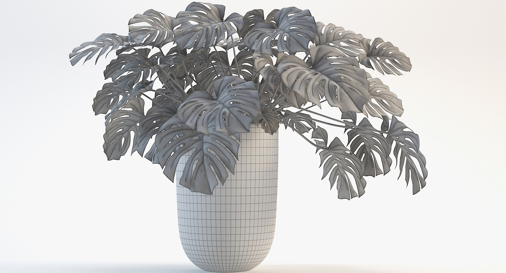 3D model monstera leaves https://p.turbosquid.com/ts-thumb/XW/akA8xb/sKJde0Zg/16/jpg/1551091319/1920x1080/fit_q87/c96d6a17e11e51b1bfc71eaa67b4ab5231e19b11/16.jpg
