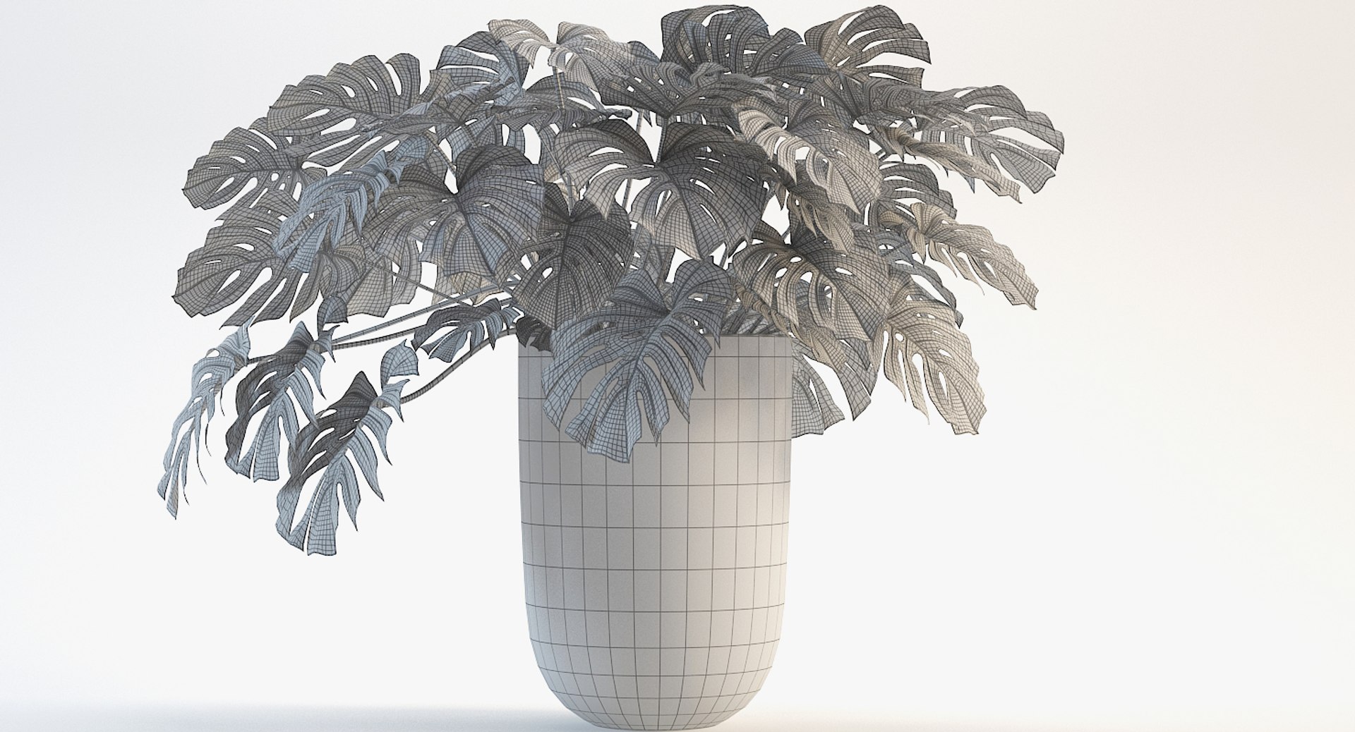 3D model monstera leaves https://p.turbosquid.com/ts-thumb/XW/akA8xb/w5SV3ki6/14/jpg/1551091319/1920x1080/fit_q87/578a072b87fbad5c7713fd708c4795733690e368/14.jpg