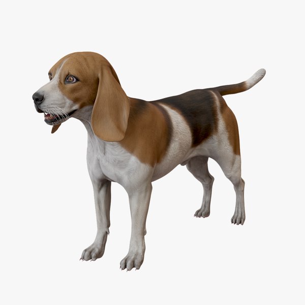 比格犬3D模型 - TurboSquid 2467234