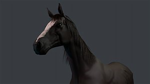 horse 3D model