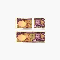 Bank  Note 100 Rials 3