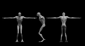Monster 3D Models for Download | TurboSquid