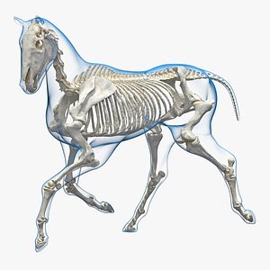 running horse pose envelope 3D model