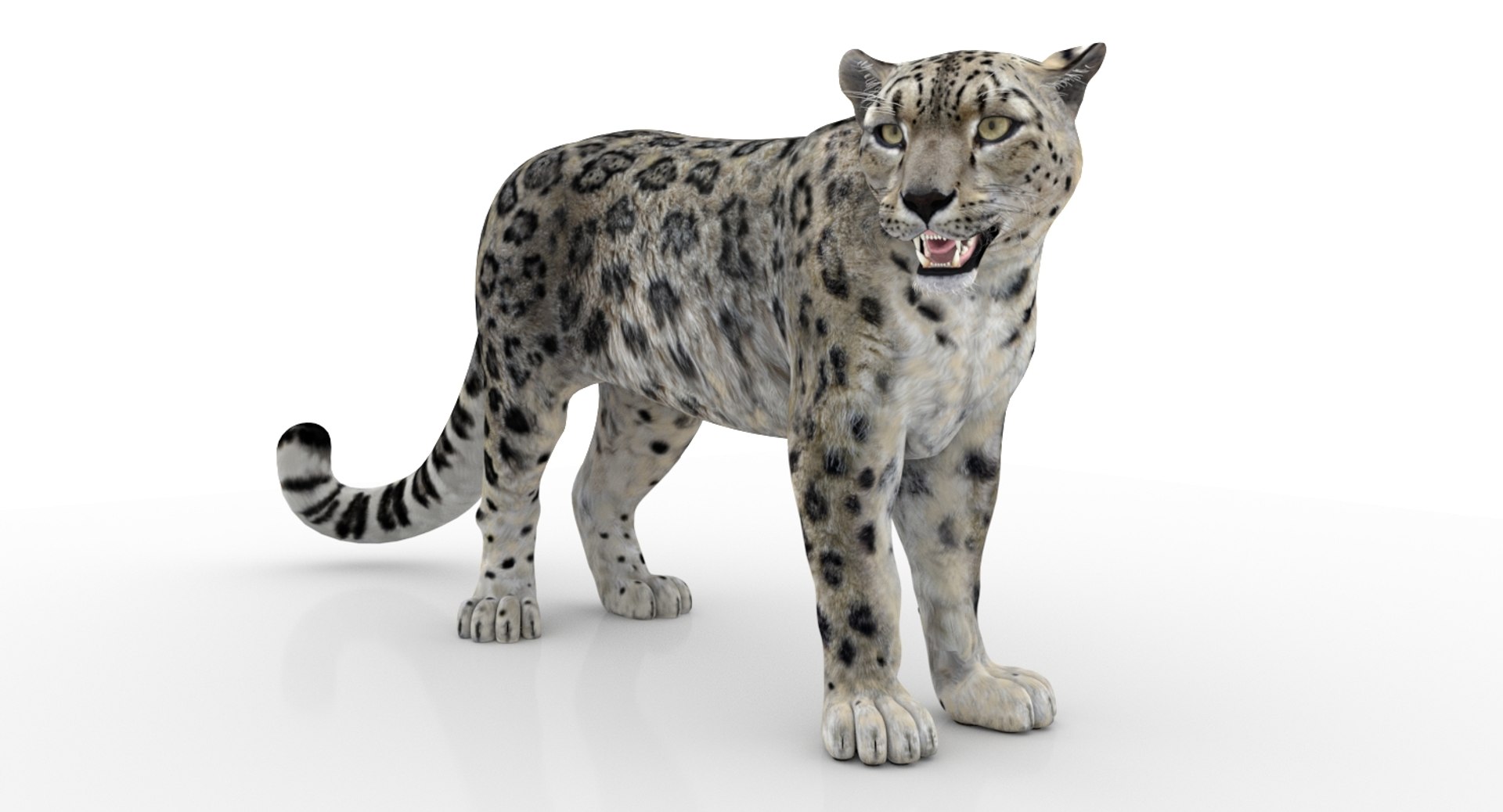 3D snow leopard 2 rigged https://p.turbosquid.com/ts-thumb/XX/RrBGzd/1aao7mzf/snow_leopard_3d_model01arnold/jpg/1550559465/1920x1080/fit_q87/d2f29617061be7196237a94f78a7f58b2524413b/snow_leopard_3d_model01arnold.jpg