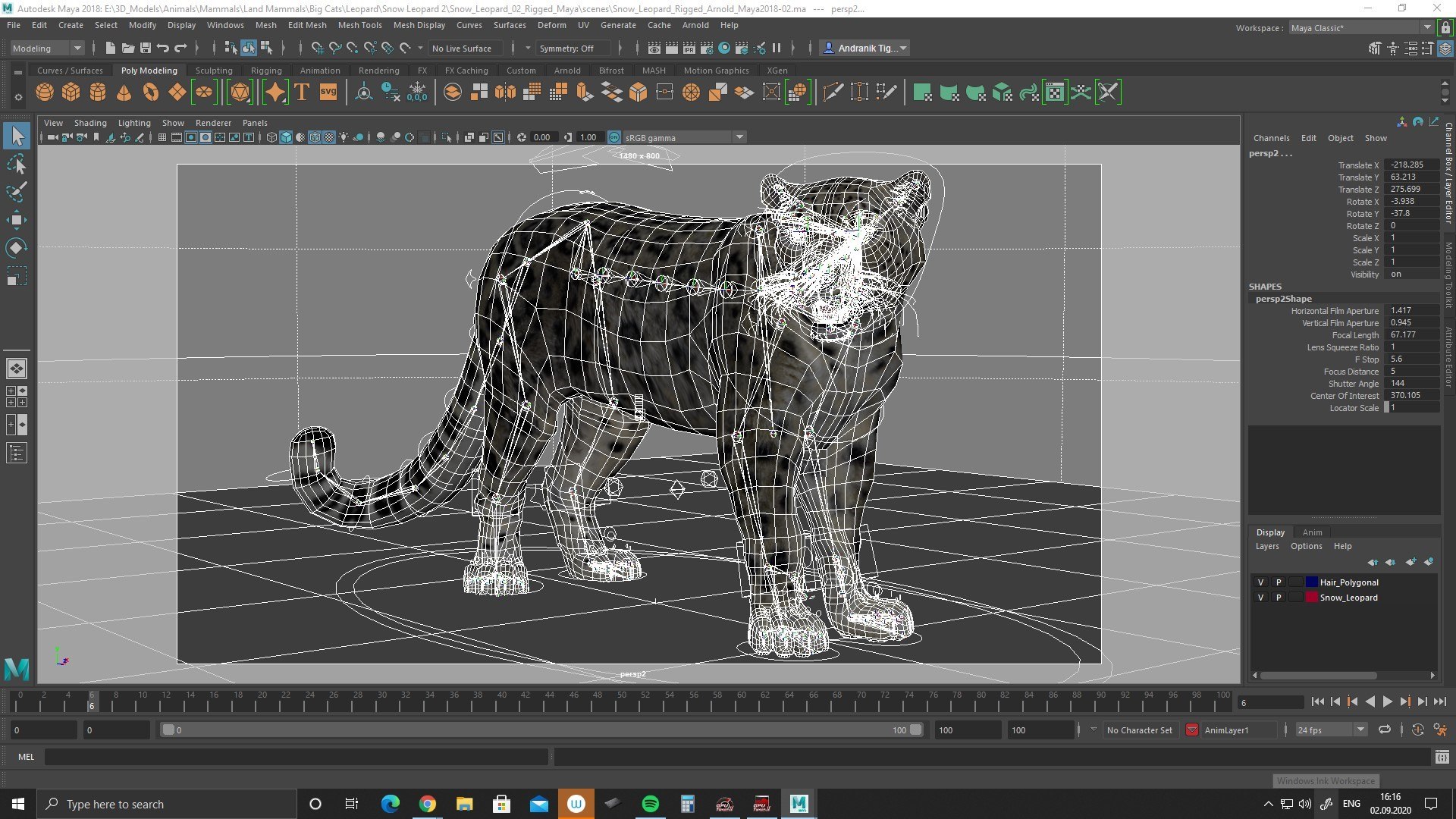 3D snow leopard 2 rigged https://p.turbosquid.com/ts-thumb/XX/RrBGzd/q3iCx26g/snow_leopard_rigging_maya201801/jpg/1599049081/1920x1080/fit_q87/de8309a12efffb44a85f77003089f7124bb5112c/snow_leopard_rigging_maya201801.jpg