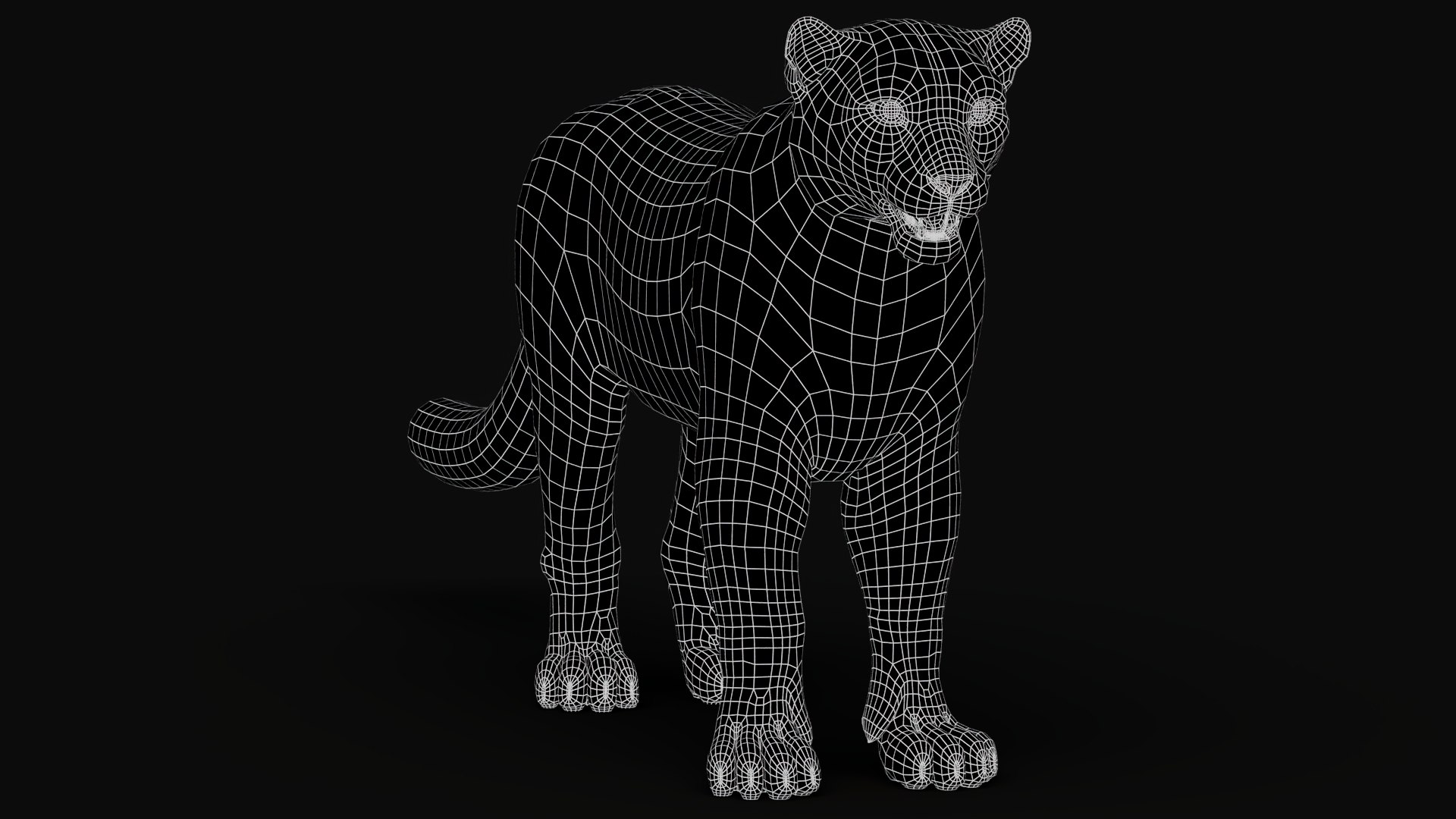 3D snow leopard 2 rigged https://p.turbosquid.com/ts-thumb/XX/RrBGzd/r0/snowleopard3dmodelwire001/jpg/1791379671/1920x1080/fit_q87/f67caa592dd9d9f9f33617bb21821a5bd4d6cab6/snowleopard3dmodelwire001.jpg