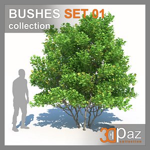 BUSHES SET 01