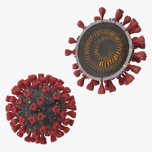 novel coronavirus virus science 3D model