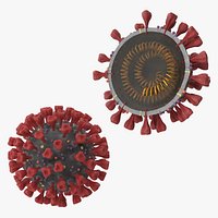 Novel Coronavirus Collection