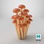 3D Cartoon Honey Mushrooms