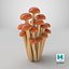 3D Cartoon Honey Mushrooms