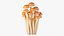 3D Cartoon Honey Mushrooms