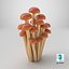 3D Cartoon Honey Mushrooms