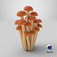 3D Cartoon Honey Mushrooms