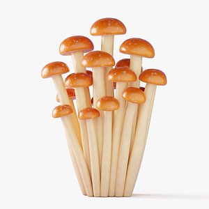 3D Cartoon Honey Mushrooms