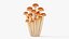 3D Cartoon Honey Mushrooms