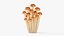 3D Cartoon Honey Mushrooms