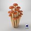 3D Cartoon Honey Mushrooms