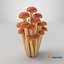 3D Cartoon Honey Mushrooms