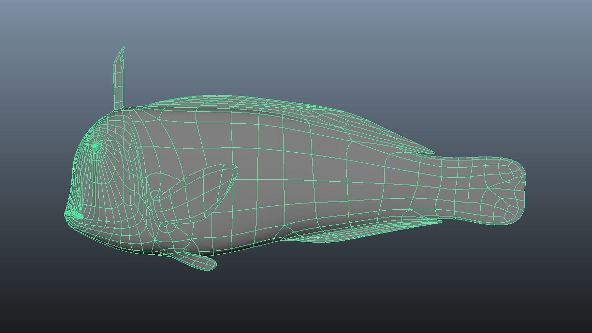 Peacock Razorfish Model - TurboSquid 1692821