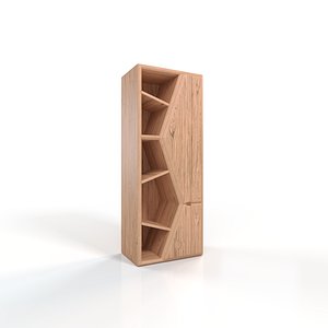 Modern Wooden Geometric Bookshelf 3D model