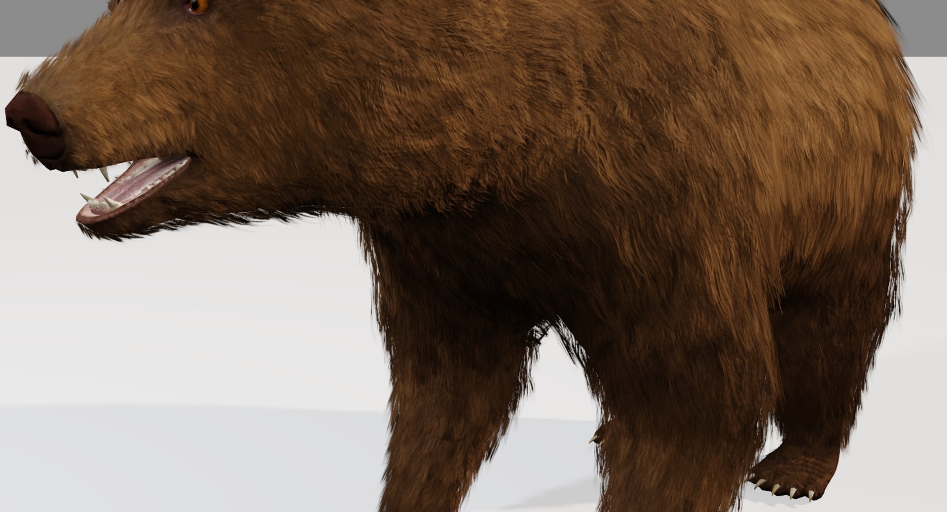 3D Bear Rigging Blender - TurboSquid 1222005