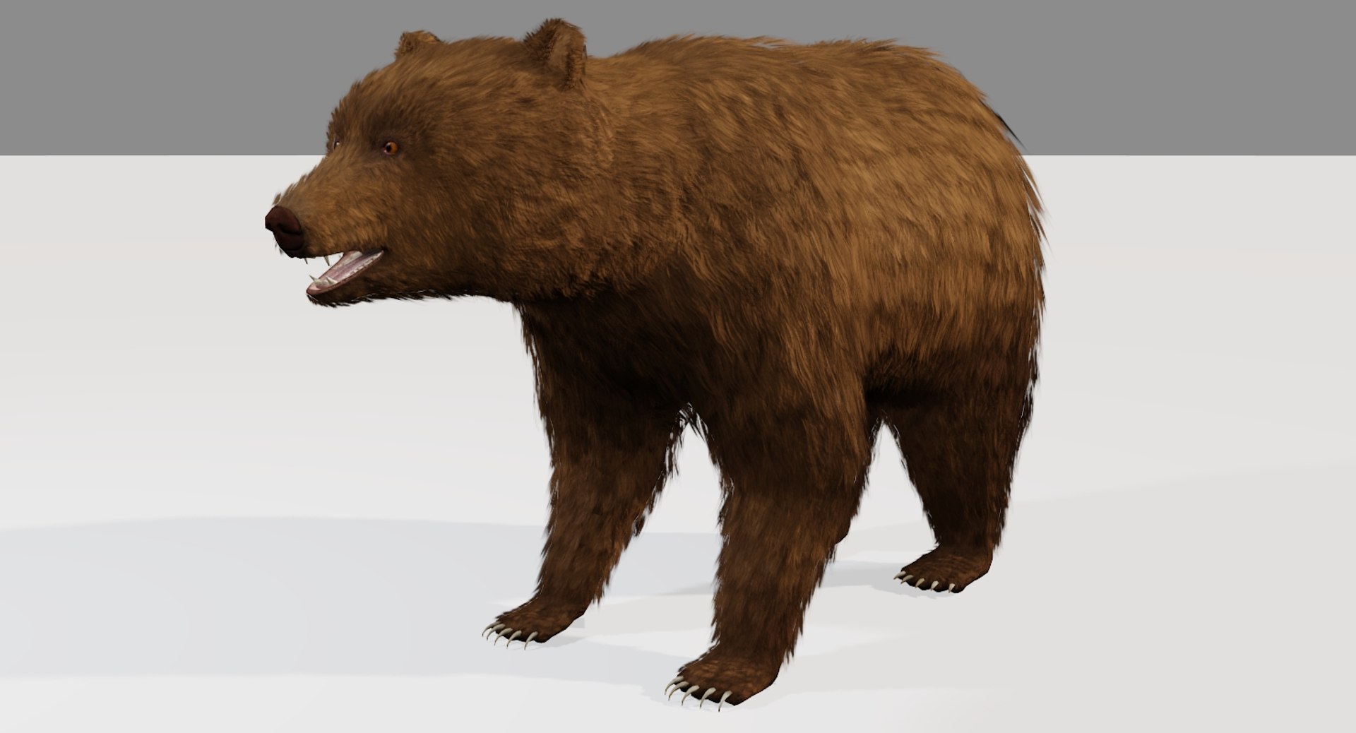 3D Bear Rigging Blender - TurboSquid 1222005