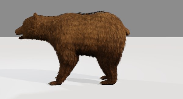 3D bear rigging blender - TurboSquid 1222005