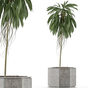 single plant 01 3D model